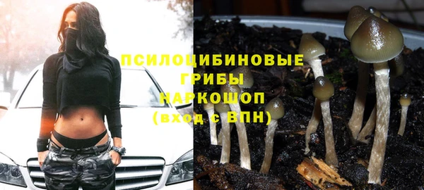 спайс Алексин