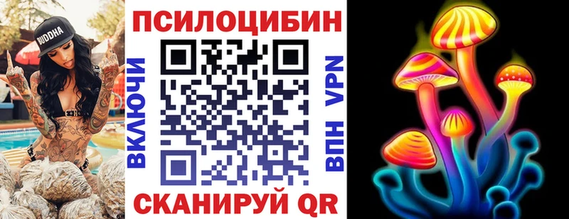 OMG ТОР Нерехта Псилоцибиновые грибы Cubensis купить наркоту